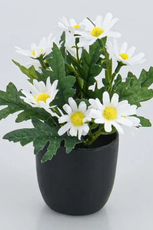 Authentique Mini composition de fleurs daisy